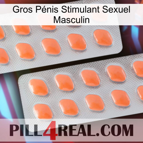 Gros Pénis Stimulant Sexuel Masculin 27.jpg